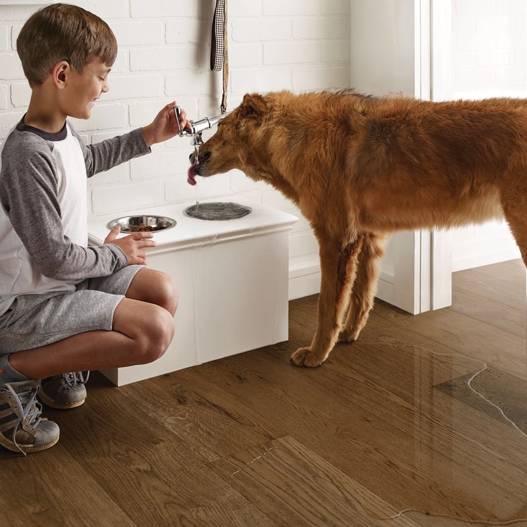 boy giving dog water and dog bowl overflowing with water on hardwood floors